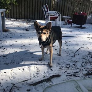 Meet your Posher, Tamara